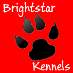 Brightstar Kennels
