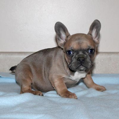 Thumb Gallery 9