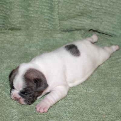 Thumb Gallery 10
