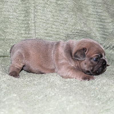 Thumb Gallery 8