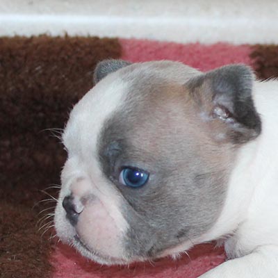 Thumb Gallery 9